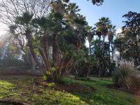 les allées du Parc_2.jpg